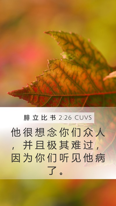 腓 立 比 书 2:26 CUVS Bible Verse Image