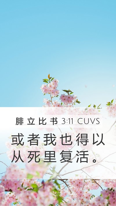 腓 立 比 书 3:11 CUVS Bible Verse Image