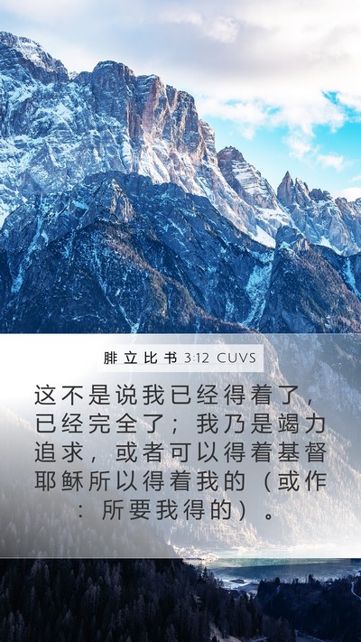 腓 立 比 书 3:12 CUVS Bible Verse Image
