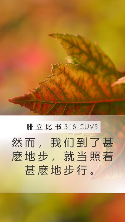 腓 立 比 书 3:16 CUVS Bible Verse Image