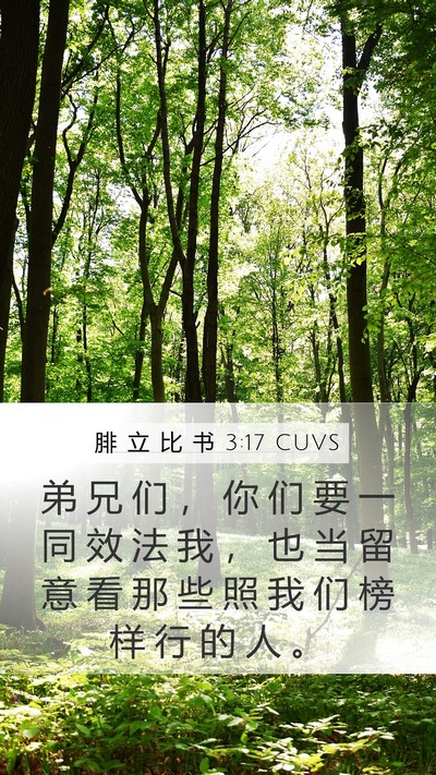 腓 立 比 书 3:17 CUVS Bible Verse Image