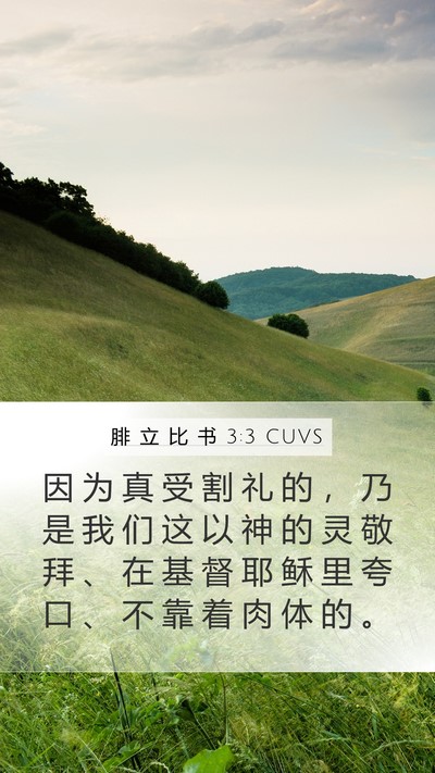 腓 立 比 书 3:3 CUVS Bible Verse Image