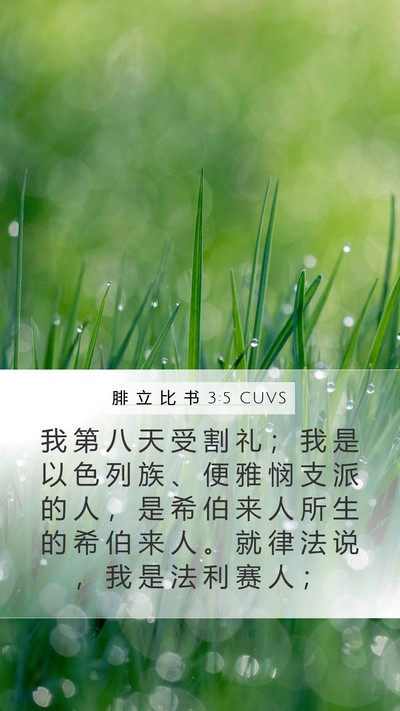 腓 立 比 书 3:5 CUVS Bible Verse Image