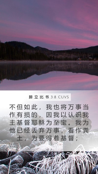 腓 立 比 书 3:8 CUVS Bible Verse Image
