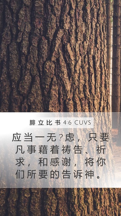 腓 立 比 书 4:6 CUVS Bible Verse Image
