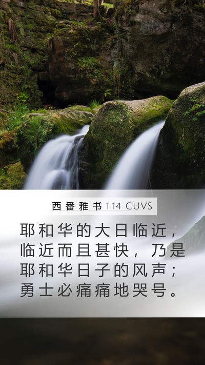 西 番 雅 书 1:14 CUVS Bible Verse Image