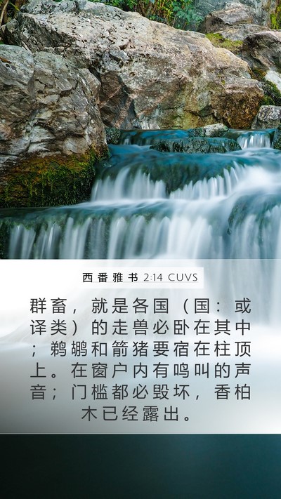西 番 雅 书 2:14 CUVS Bible Verse Image