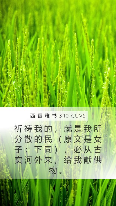 西 番 雅 书 3:10 CUVS Bible Verse Image