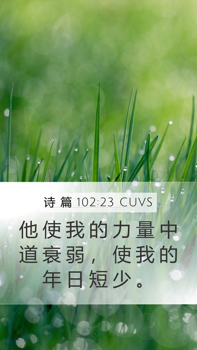 诗 篇 102:23 CUVS Bible Verse Image