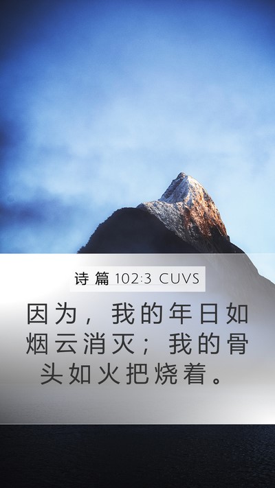 诗 篇 102:3 CUVS Bible Verse Image