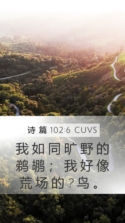 诗 篇 102:6 CUVS Mobile Phone Wallpaper - 我 如 同 旷 野 的 鹈 鹕 ； 我 好 像 - Mobile Bible Verse Wallpaper