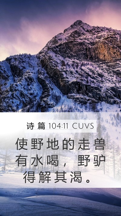 诗 篇 104:11 CUVS Mobile Phone Wallpaper - 使 野 地 的 走 兽 有 水 喝 ， 野 驴 - Mobile Bible Verse Wallpaper