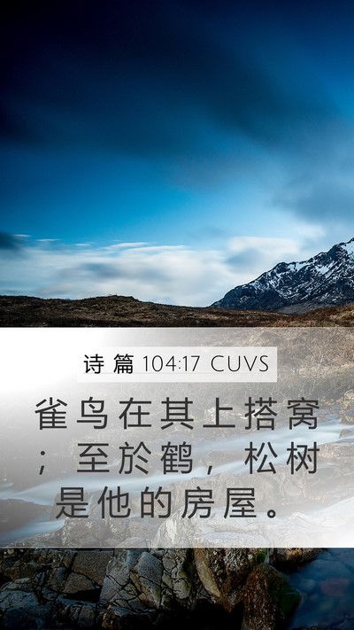 诗 篇 104:17 CUVS Mobile Phone Wallpaper - 雀 鸟 在 其 上 搭 窝 ； 至 於 鹤 ， - Mobile Bible Verse Wallpaper