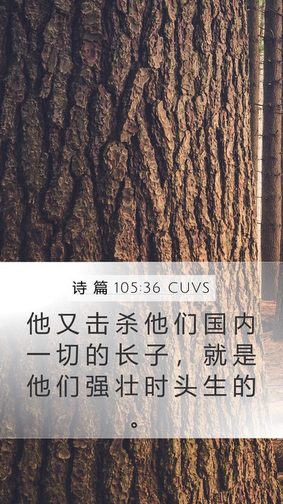 诗 篇 105:36 CUVS Bible Verse Image