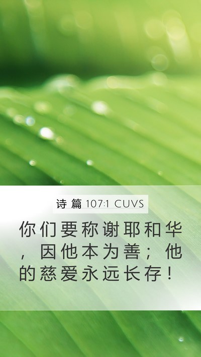 诗 篇 107:1 CUVS Mobile Phone Wallpaper - 你 们 要 称 谢 耶 和 华 ， 因 他 本 - Mobile Bible Verse Wallpaper