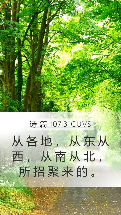 诗 篇 107:3 CUVS Mobile Phone Wallpaper - 从 各 地 ， 从 东 从 西 ， 从 南 从 - Mobile Bible Verse Wallpaper