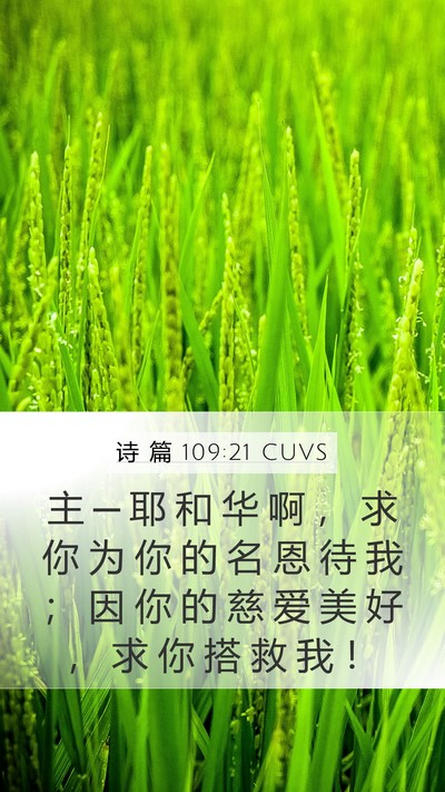 诗 篇 109:21 CUVS Mobile Phone Wallpaper - 主 ─ 耶 和 华 啊 ， 求 你 为 你 的 - Mobile Bible Verse Wallpaper