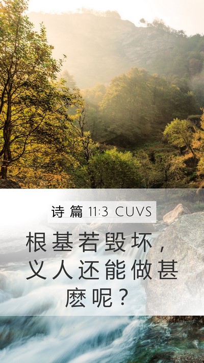 诗 篇 11:3 CUVS Bible Verse Image