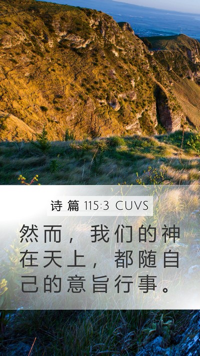 诗 篇 115:3 CUVS Bible Verse Image