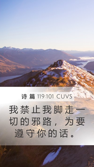 诗 篇 119:101 CUVS Bible Verse Image