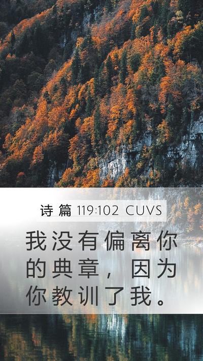 诗 篇 119:102 CUVS Bible Verse Image