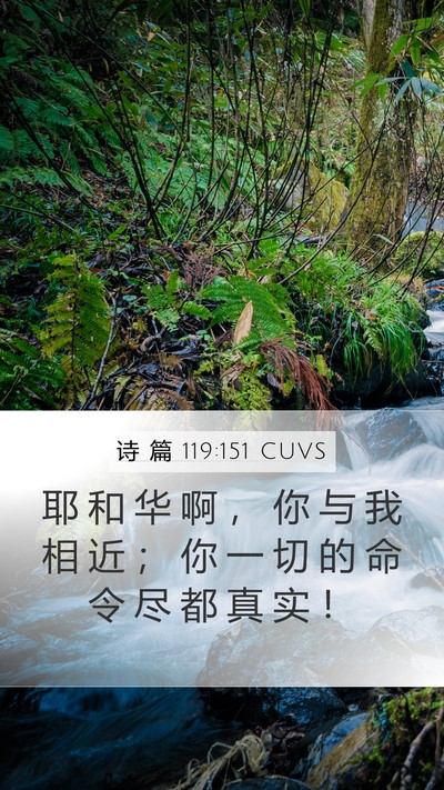 诗 篇 119:151 CUVS Bible Verse Image