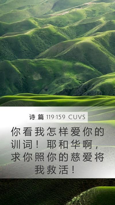 诗 篇 119:159 CUVS Mobile Phone Wallpaper - 你 看 我 怎 样 爱 你 的 训 词 ！ 耶 - Mobile Bible Verse Wallpaper