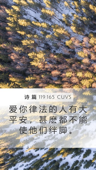诗 篇 119:165 CUVS Bible Verse Image