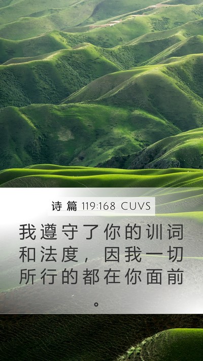 诗 篇 119:168 CUVS Mobile Phone Wallpaper - 我 遵 守 了 你 的 训 词 和 法 度 ， - Mobile Bible Verse Wallpaper