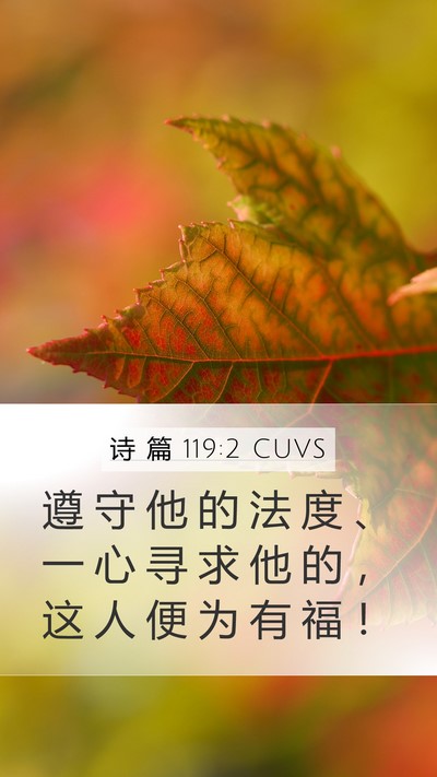 诗 篇 119:2 CUVS Mobile Phone Wallpaper - 遵 守 他 的 法 度 、 一 心 寻 求 他 - Mobile Bible Verse Wallpaper