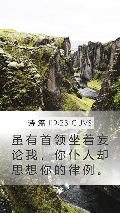 诗 篇 119:23 CUVS Bible Verse Image