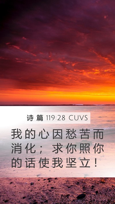 诗 篇 119:28 CUVS Bible Verse Image
