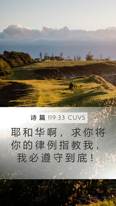 诗 篇 119:33 CUVS Bible Verse Image