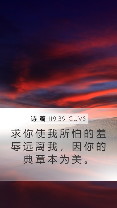 诗 篇 119:39 CUVS Mobile Phone Wallpaper - 求 你 使 我 所 怕 的 羞 辱 远 离 我 - Mobile Bible Verse Wallpaper