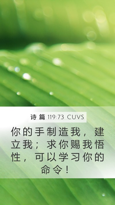 诗 篇 119:73 CUVS Bible Verse Image