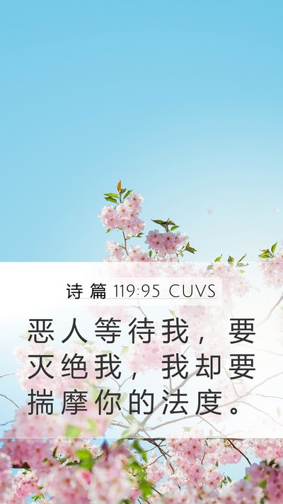 诗 篇 119:95 CUVS Bible Verse Image