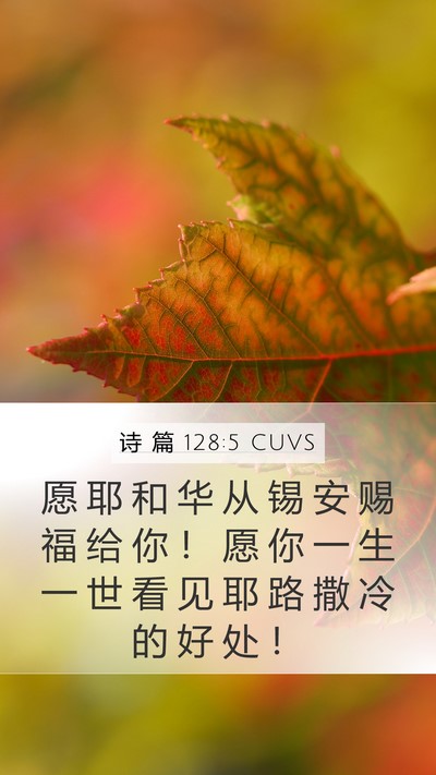 诗 篇 128:5 CUVS Bible Verse Image