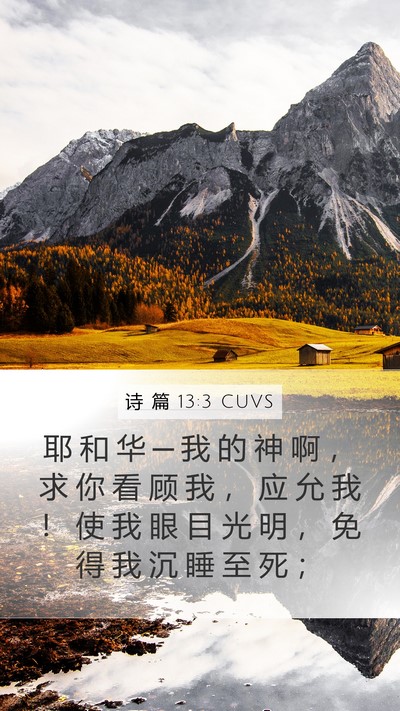 诗 篇 13:3 CUVS Bible Verse Image