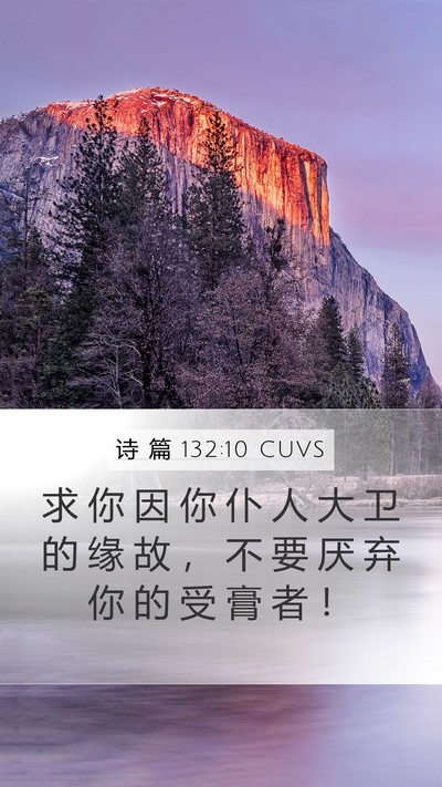 诗 篇 132:10 CUVS Mobile Phone Wallpaper - 求 你 因 你 仆 人 大 卫 的 缘 故 ， - Mobile Bible Verse Wallpaper