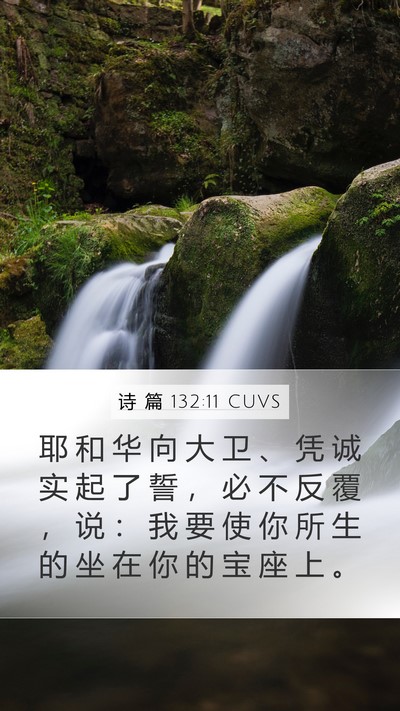 诗 篇 132:11 CUVS Bible Verse Image