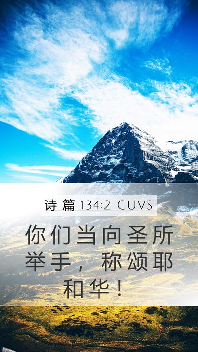 诗 篇 134:2 CUVS Bible Verse Image