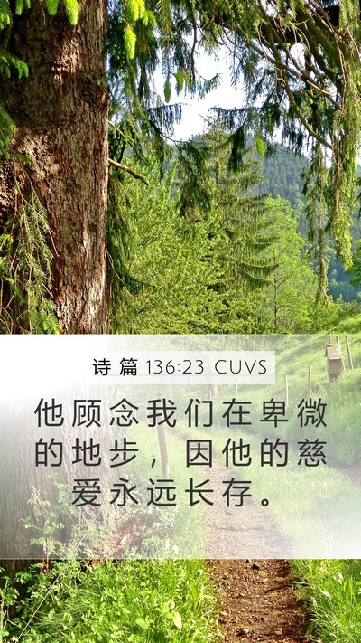 诗 篇 136:23 CUVS Bible Verse Image