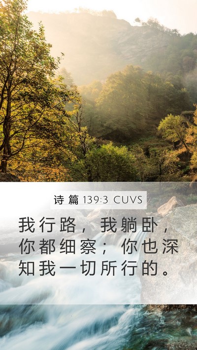诗 篇 139:3 CUVS Mobile Phone Wallpaper - 我 行 路 ， 我 躺 卧 ， 你 都 细 察 - Mobile Bible Verse Wallpaper