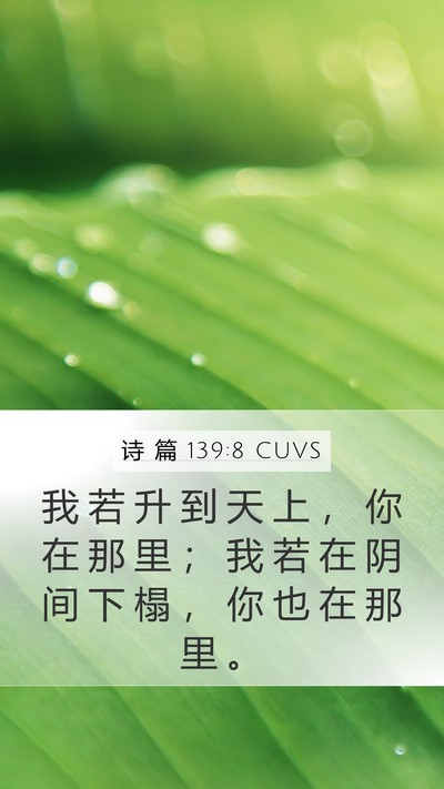 诗 篇 139:8 CUVS Mobile Phone Wallpaper - 我 若 升 到 天 上 ， 你 在 那 里 ； - Mobile Bible Verse Wallpaper