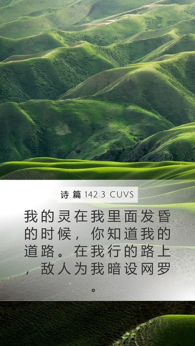 诗 篇 142:3 CUVS Bible Verse Image
