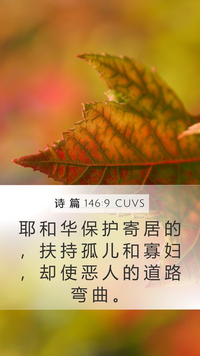 诗 篇 146:9 CUVS Bible Verse Image