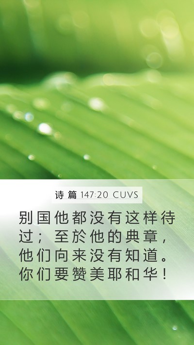 诗 篇 147:20 CUVS Bible Verse Image