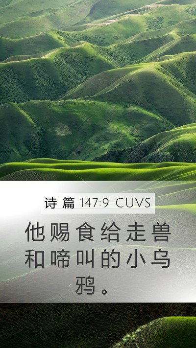 诗 篇 147:9 CUVS Bible Verse Image