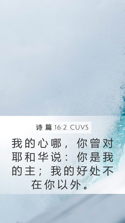 诗 篇 16:2 CUVS Bible Verse Image