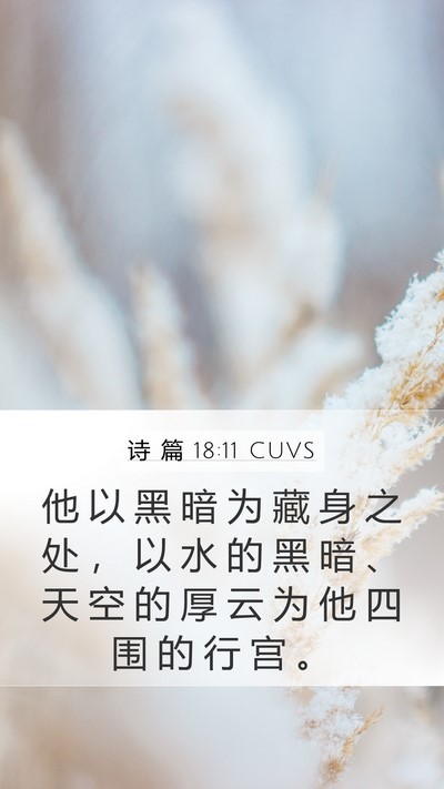 诗 篇 18:11 CUVS Bible Verse Image